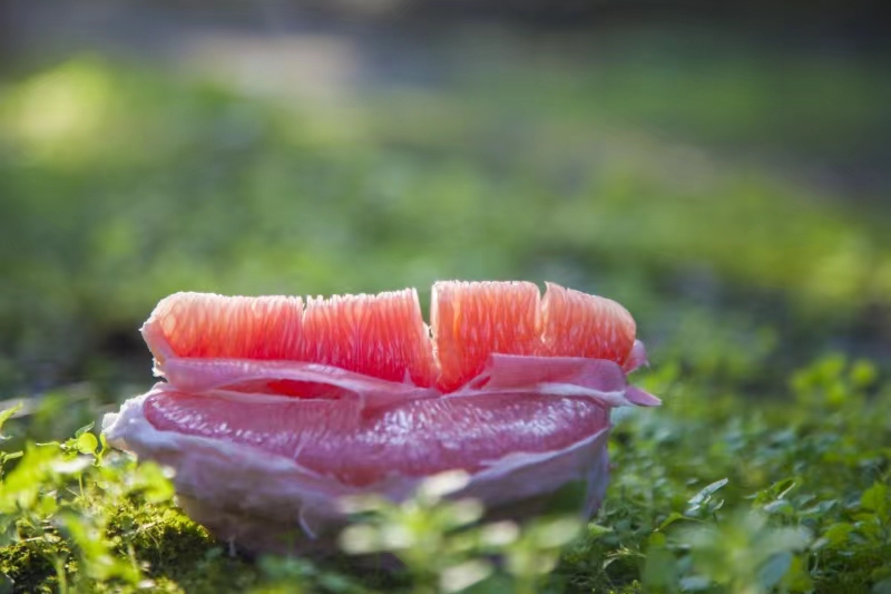 红心柚照片 1.jpg